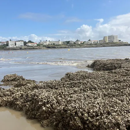 Devant La Et La De Pontaillac, 4chambres 2 A 8 Personnes וילה רויאן